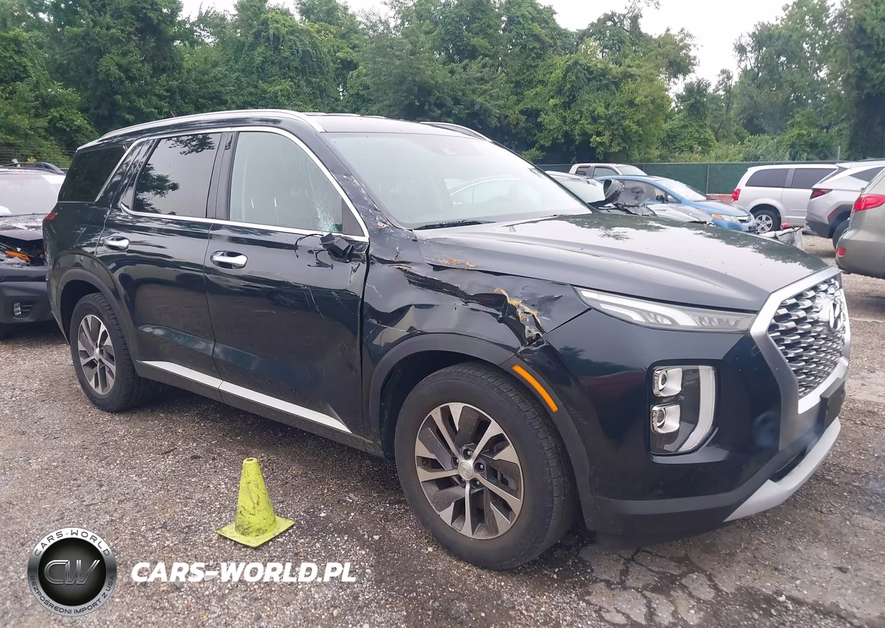 2020 Hyundai Palisade Sel VIN:KM8R2DHE0LU171428 - 6