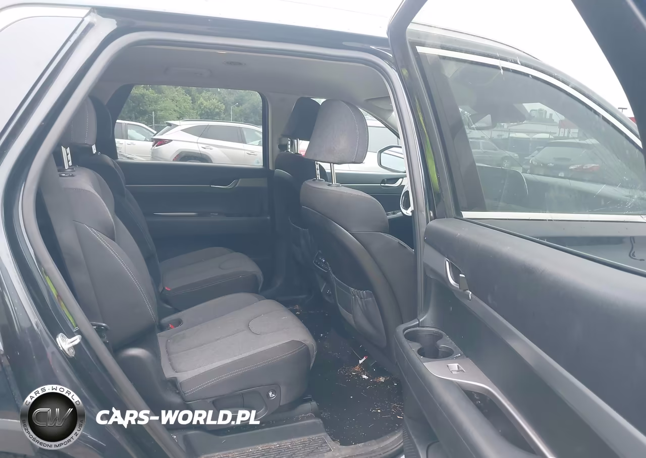 2020 Hyundai Palisade Sel VIN:KM8R2DHE0LU171428 - 8