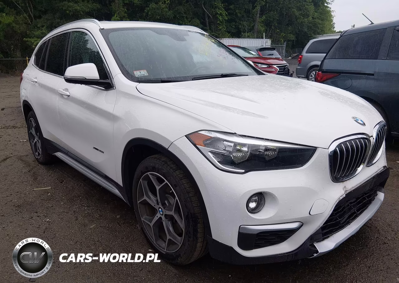 2018 BMW X1 xDrive28I – zdjęcie 1 z 17