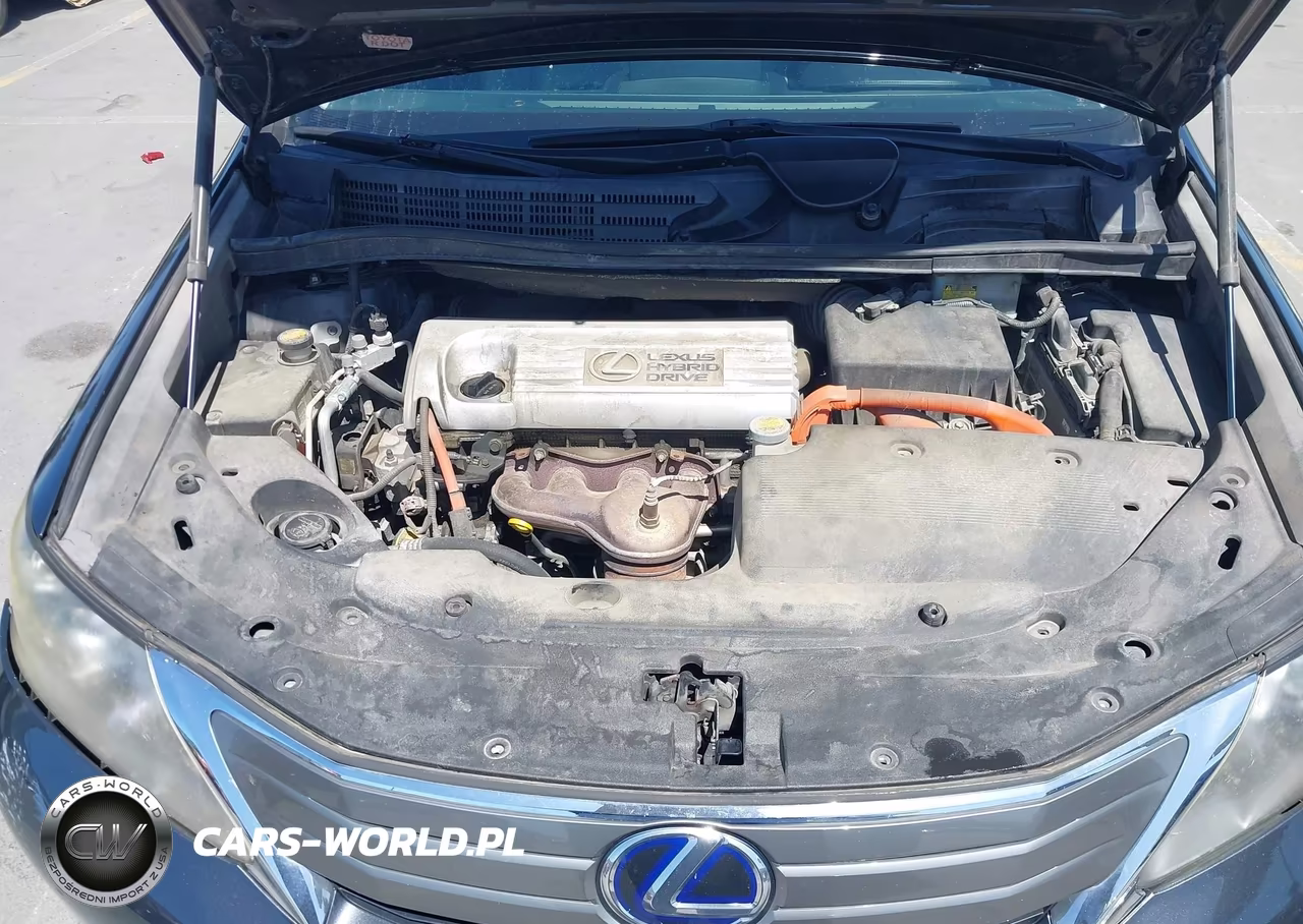 2010 Lexus Hs 250H Premium VIN:JTHBB1BA6A2030526 - 10