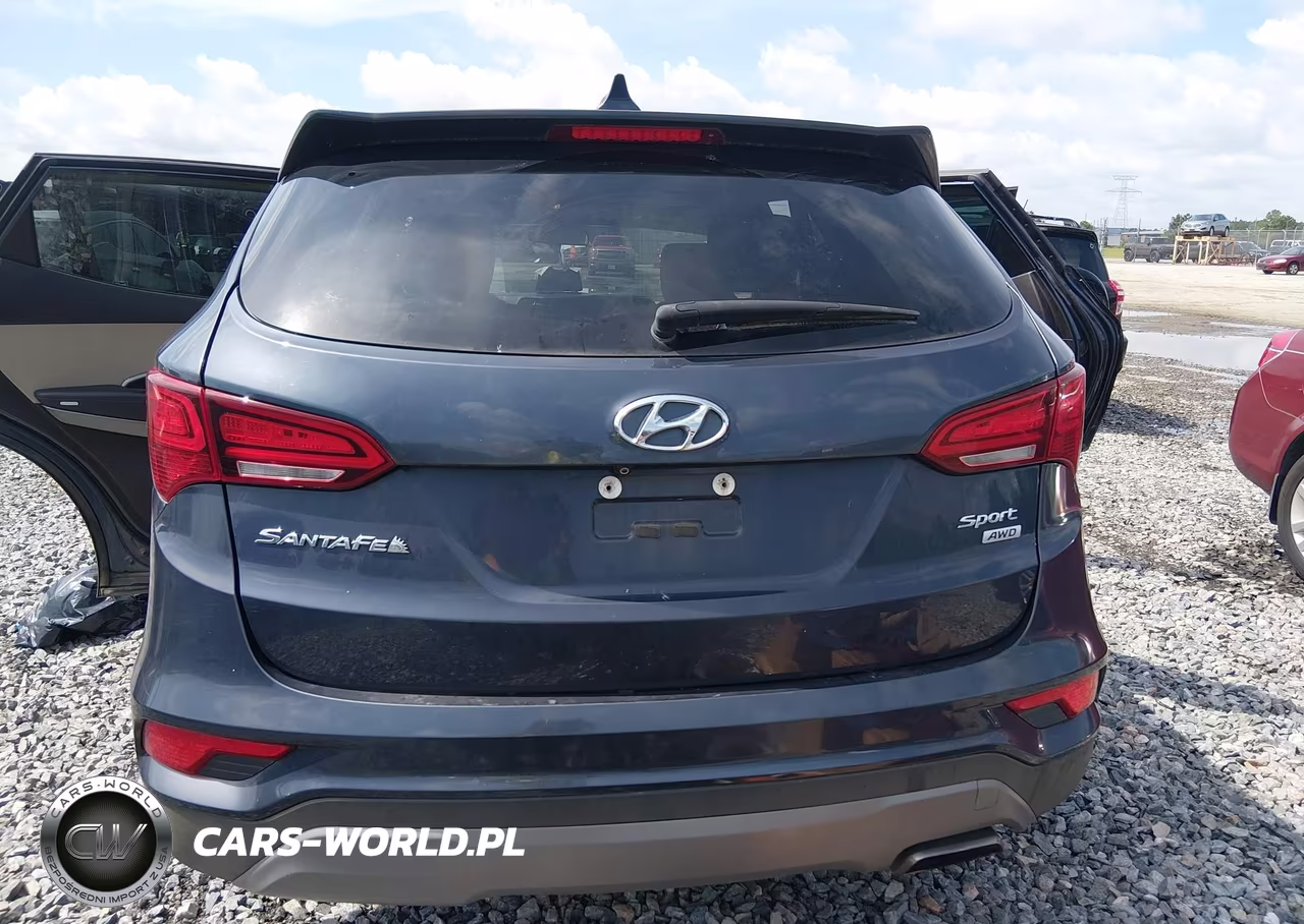 2017 Hyundai Santa Fe Sport 2.4L VIN:5XYZTDLB0HG431818 - 17