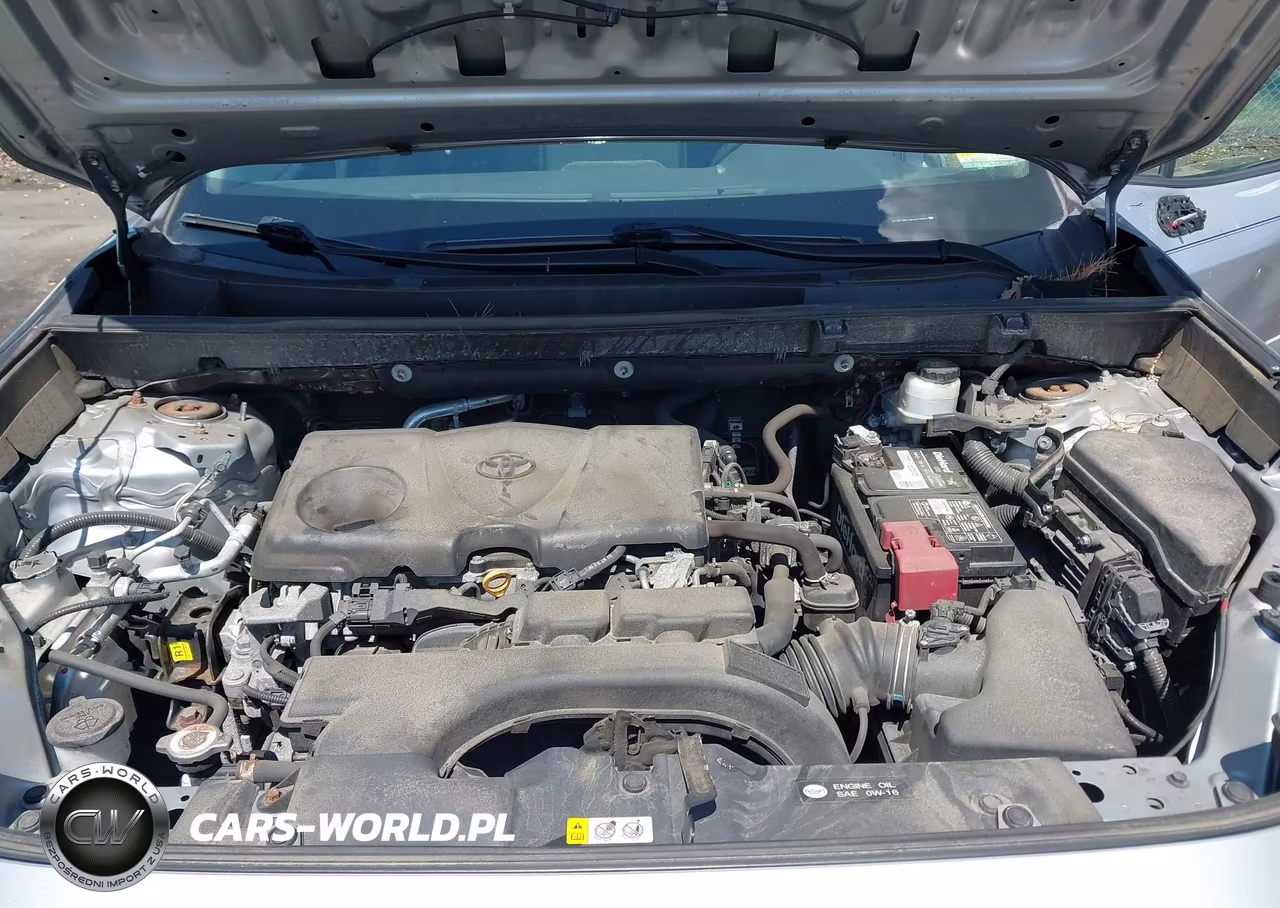 2019 Toyota Rav4 Le VIN:2T3F1RFV9KW006957 - 10