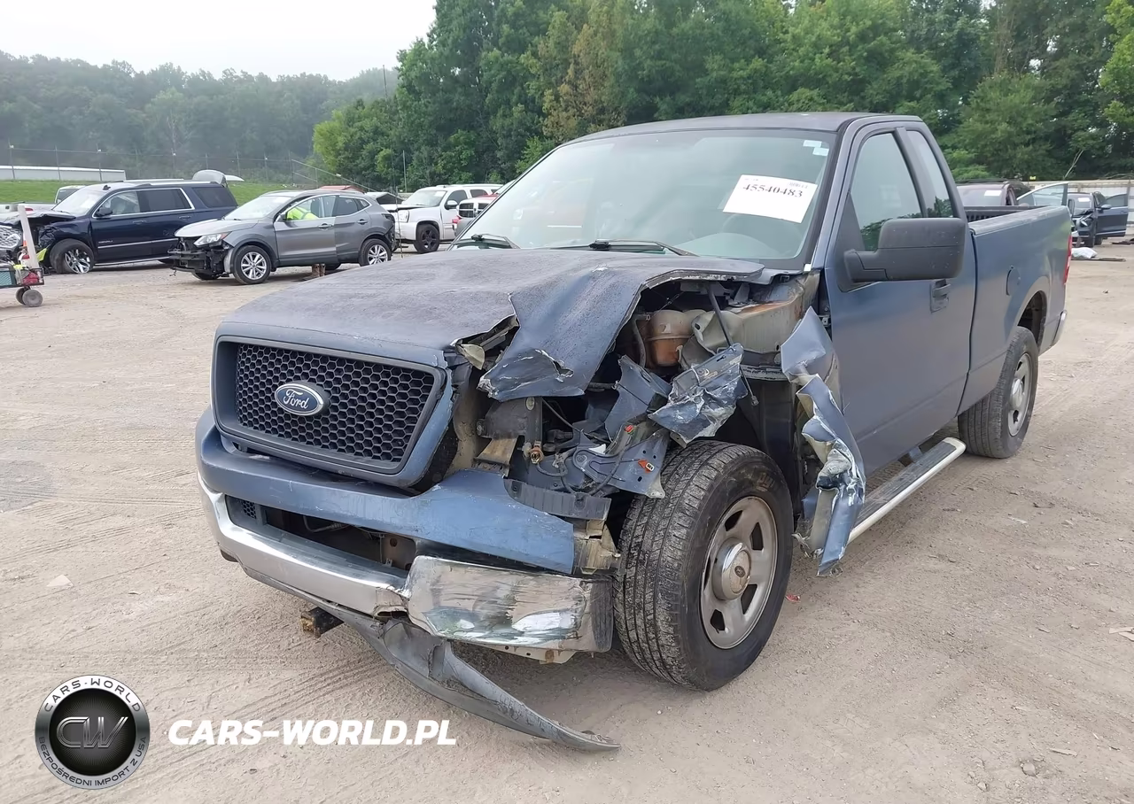 2004 Ford F-150 Stx-Xl-Xlt VIN:1FTRF12W14NC21029 - 6