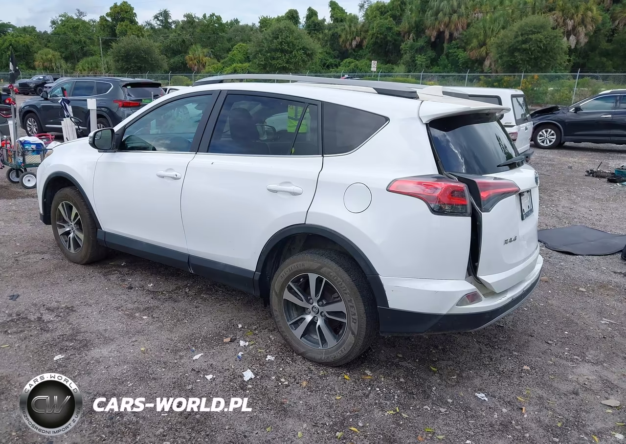 2017 Toyota Rav4 Xle VIN:2T3WFREVXHW317504 - 3