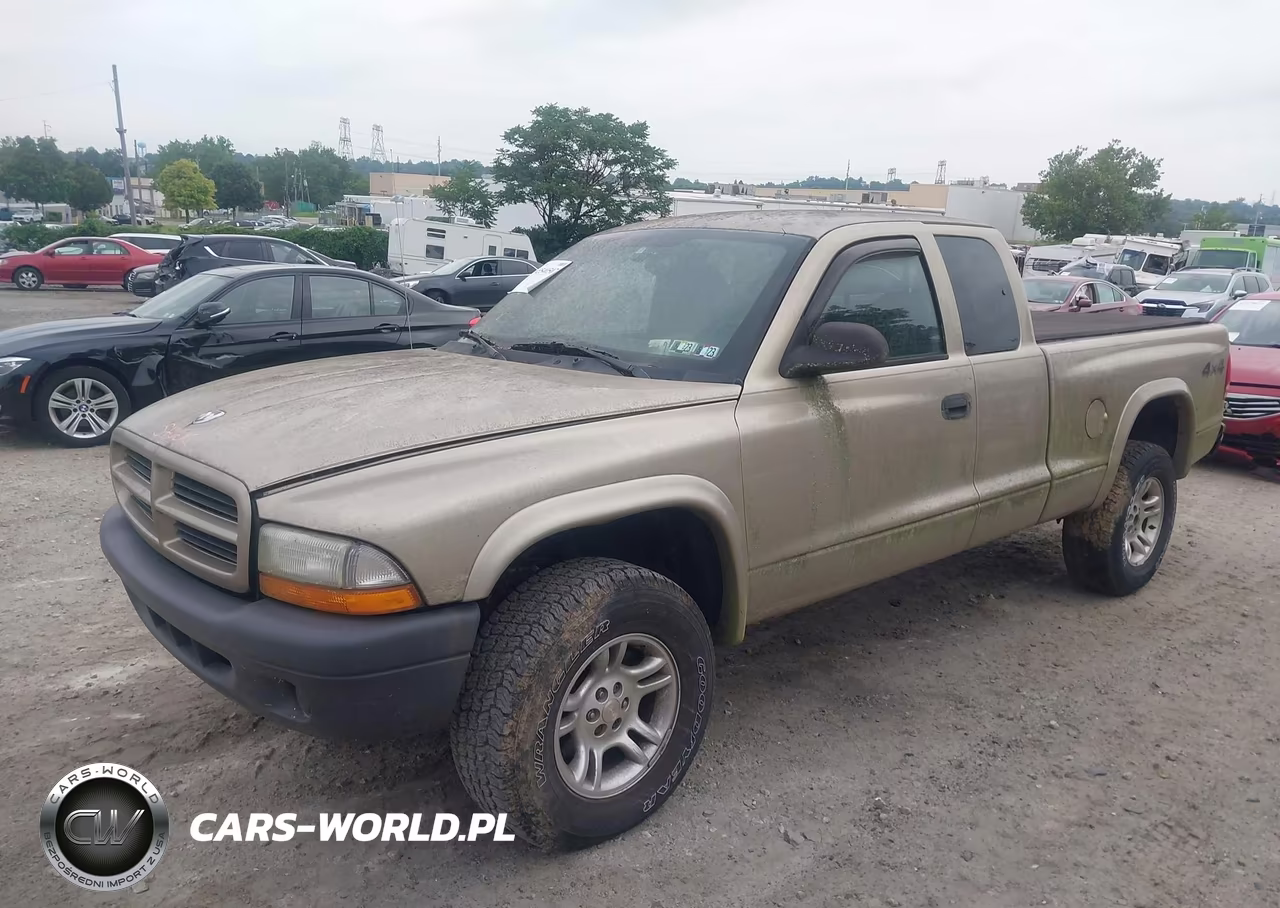 2003 Dodge Dakota VIN:1D7HG12X53S369823 - 2