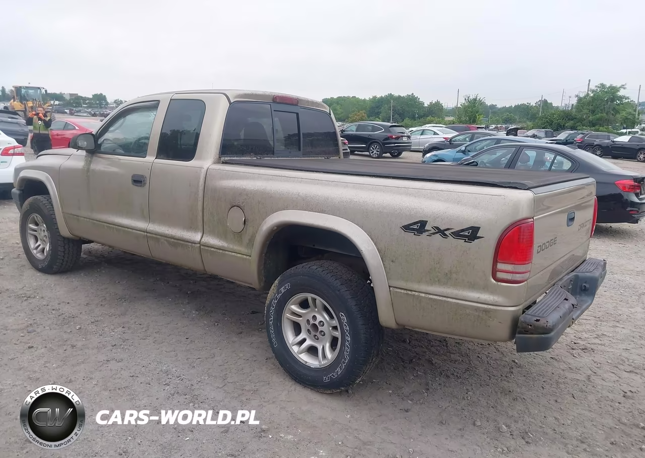 2003 Dodge Dakota VIN:1D7HG12X53S369823 - 3