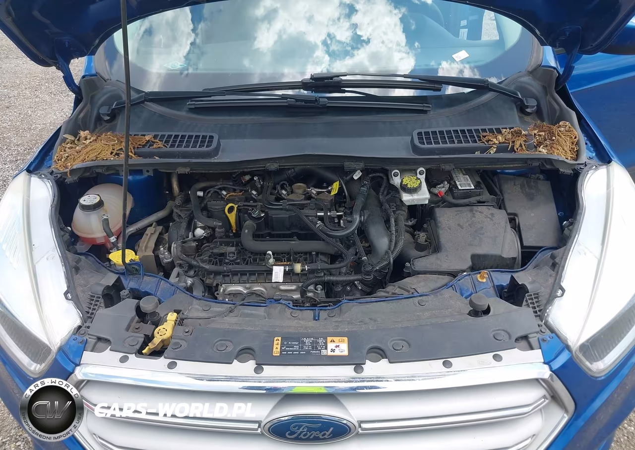 2019 Ford Escape Se VIN:1FMCU0GD5KUA47087 - 10