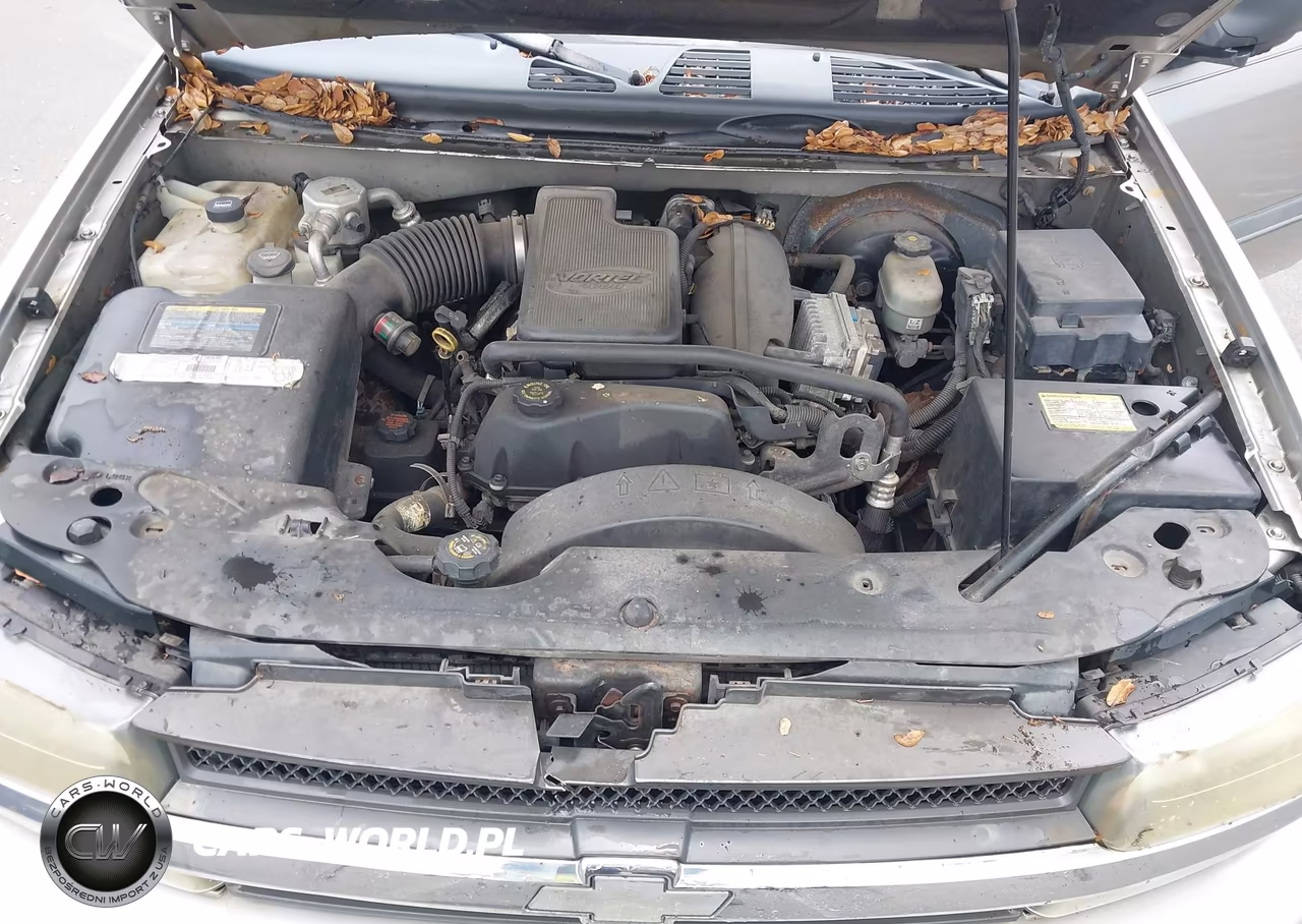 2002 Chevrolet Trailblazer Lt VIN:1GNDT13S622244147 - 10