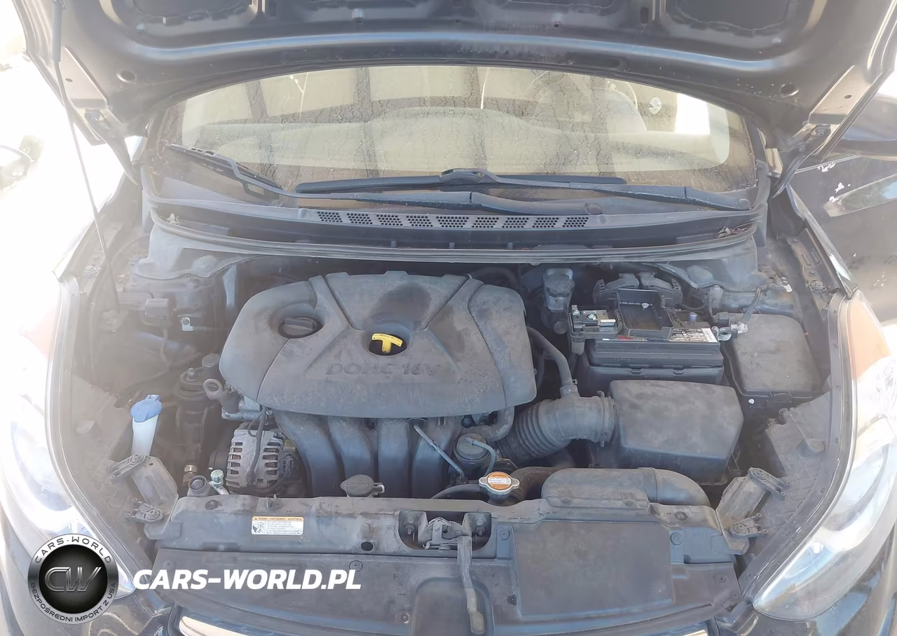 2013 Hyundai Elantra Gls VIN:5NPDH4AE3DH167182 - 10