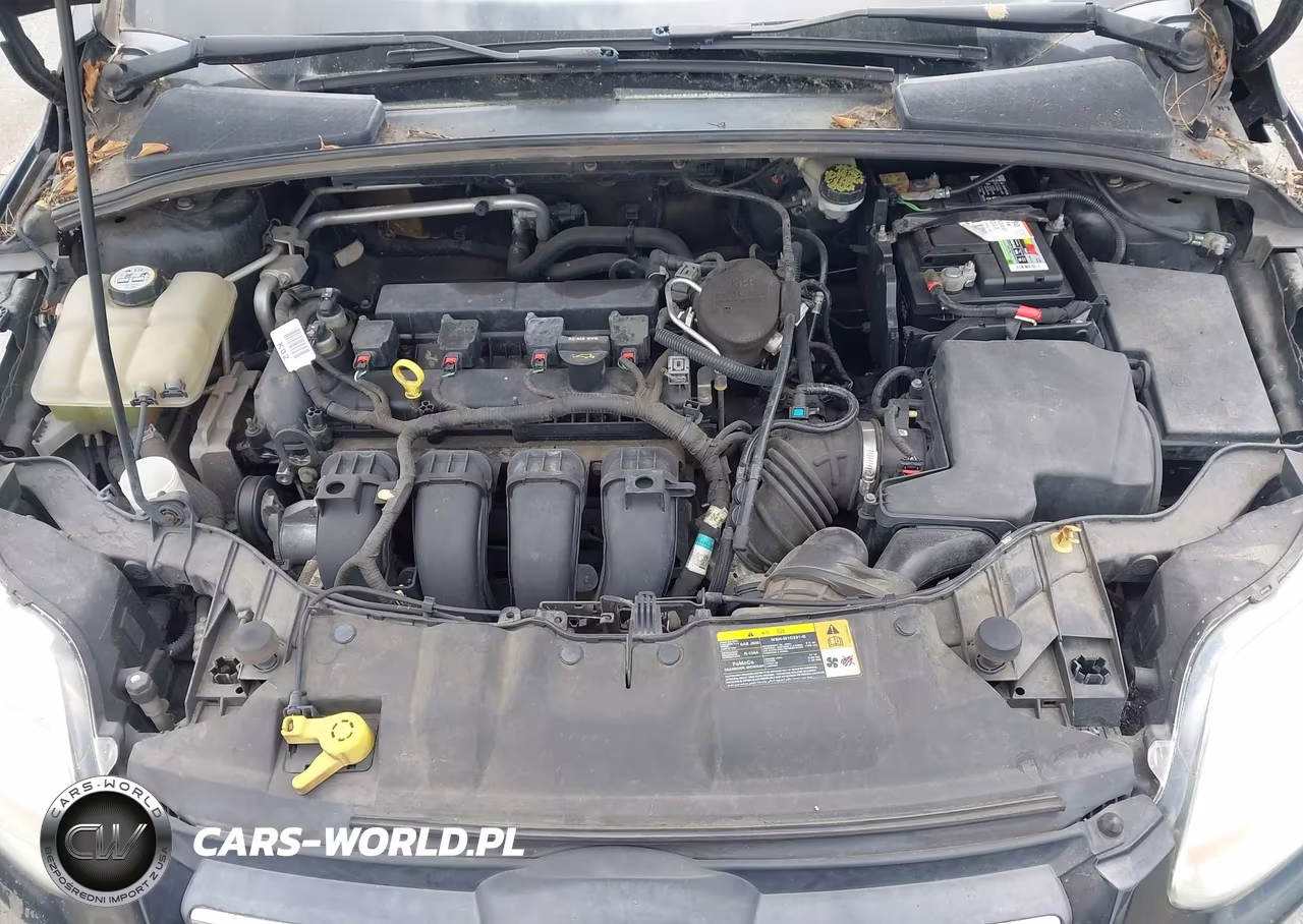 2013 Ford Focus Se VIN:1FADP3K27DL145978 - 10