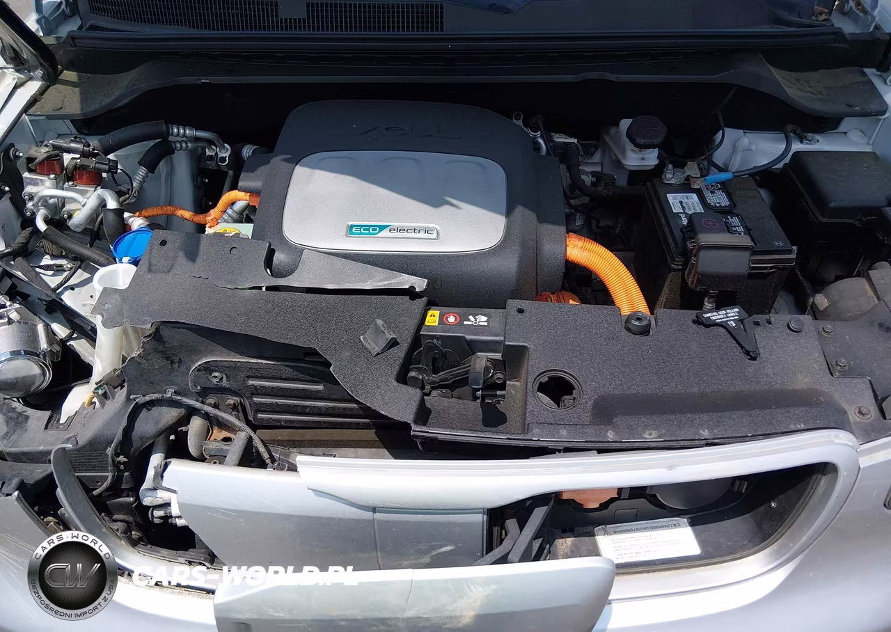 2017 Kia Soul Ev VIN:KNDJP3AE1H7023219 - 10
