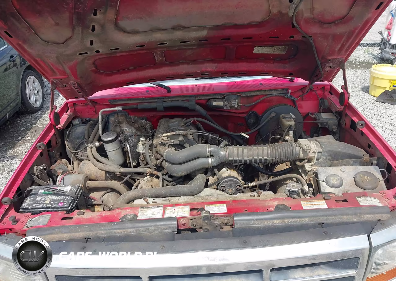 1995 Ford F150 VIN:1FTEF14N8SNA02052 - 10