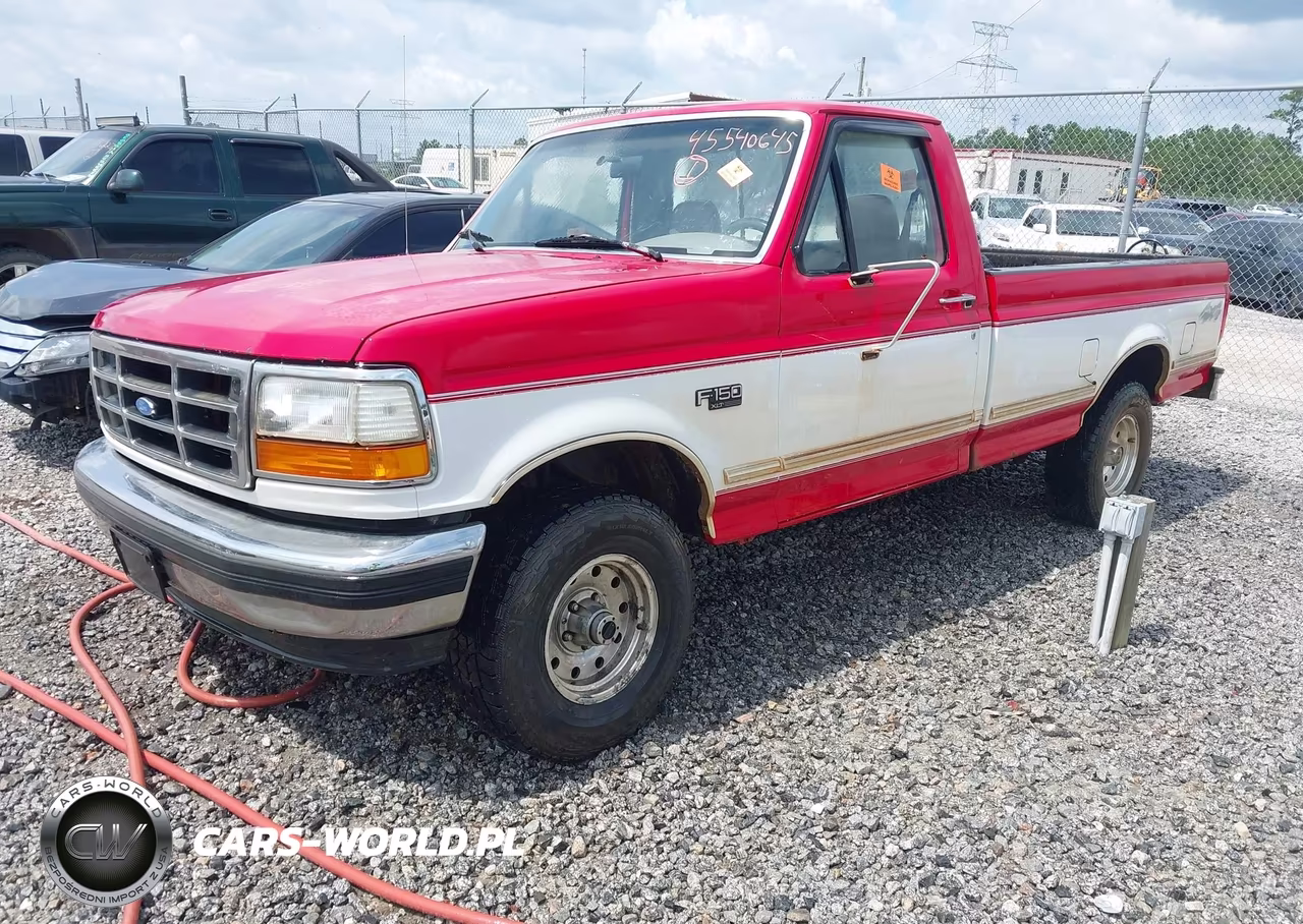 1995 Ford F150 VIN:1FTEF14N8SNA02052 - 2