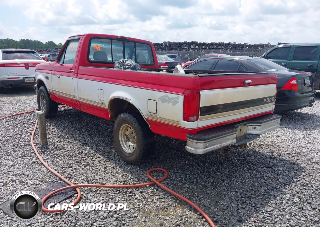 1995 Ford F150 VIN:1FTEF14N8SNA02052 - 3