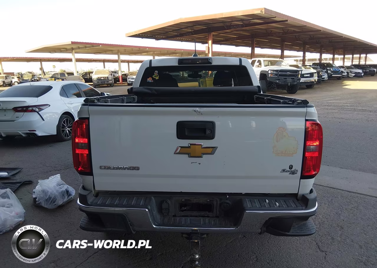 2019 Chevrolet Colorado Wt VIN:1GCGSBEA6K1128438 - 16