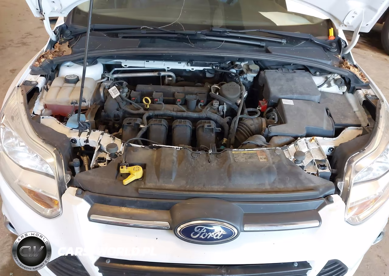 2013 Ford Focus Se VIN:1FADP3K21DL262097 - 10