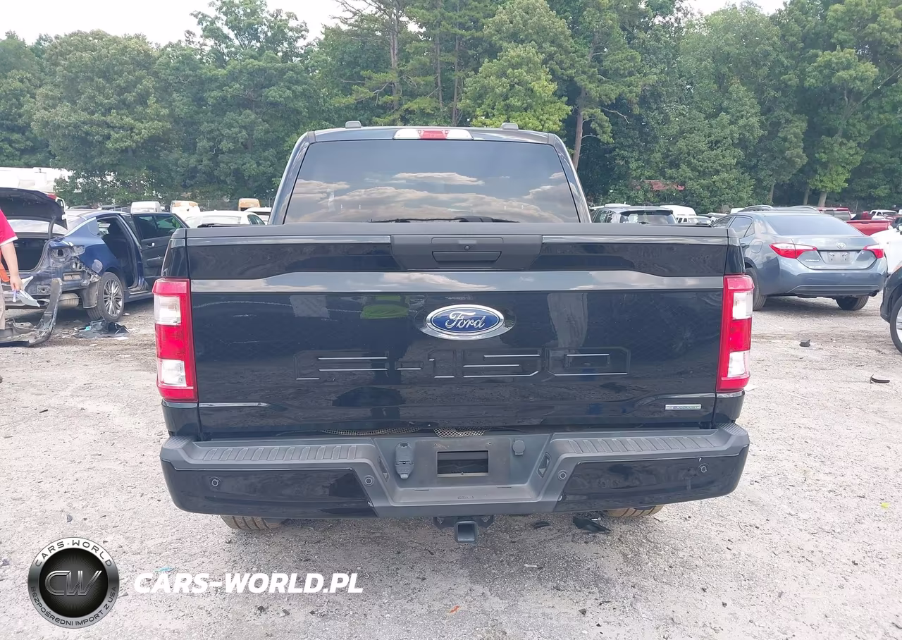 2021 Ford F-150 Xl VIN:1FTEW1CP9MFB75126 - 17
