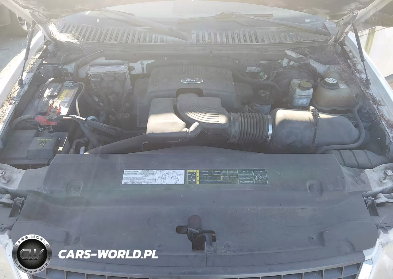 2004 Ford Expedition Nbx-Xlt VIN:1FMPU16L94LB46228 - 10