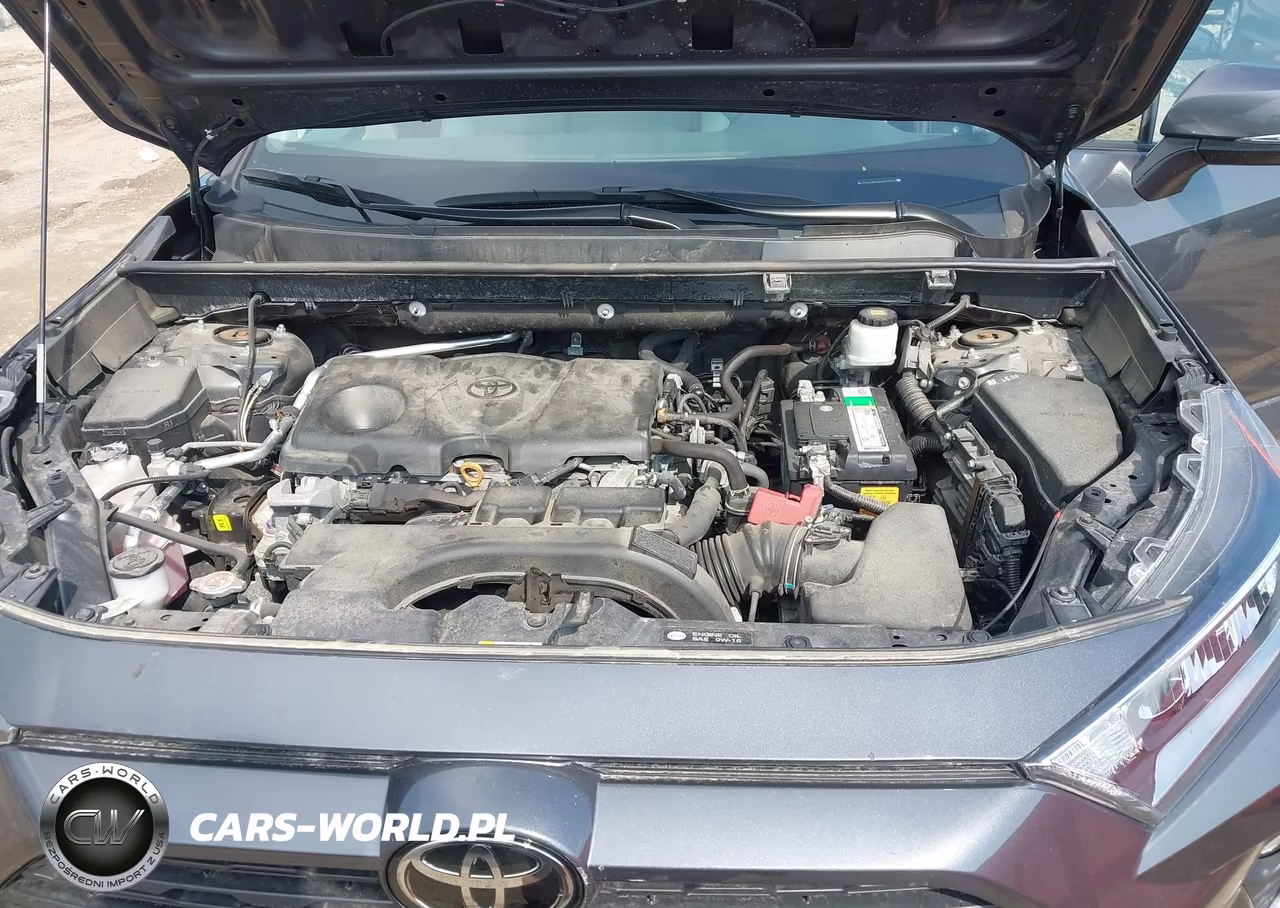 2019 Toyota Rav4 Xle Premium VIN:2T3A1RFV9KW076503 - 10