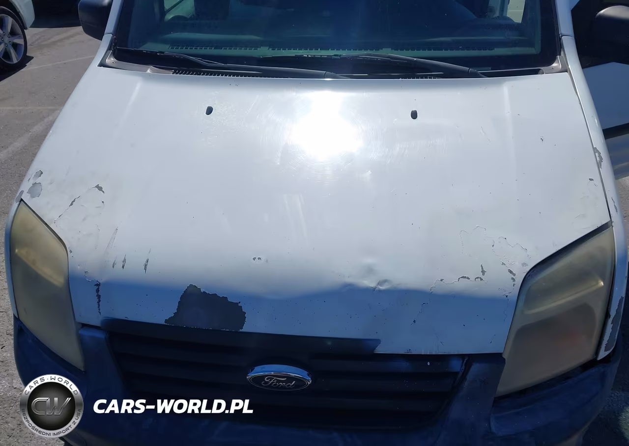 2013 Ford Transit Connect Xl VIN:NM0LS7AN8DT150398 - 10