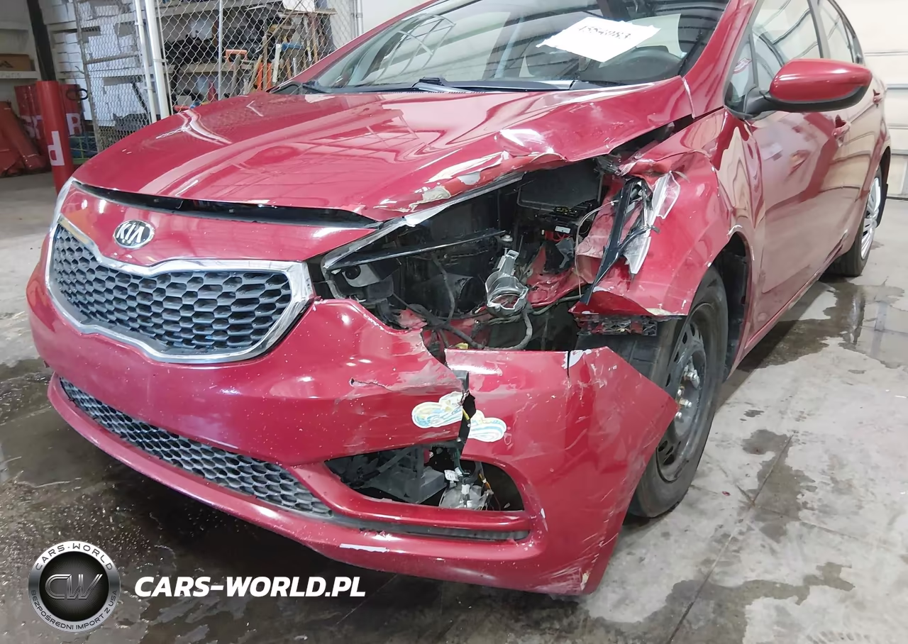2016 Kia Forte Lx VIN:KNAFK4A60G5458467 - 18