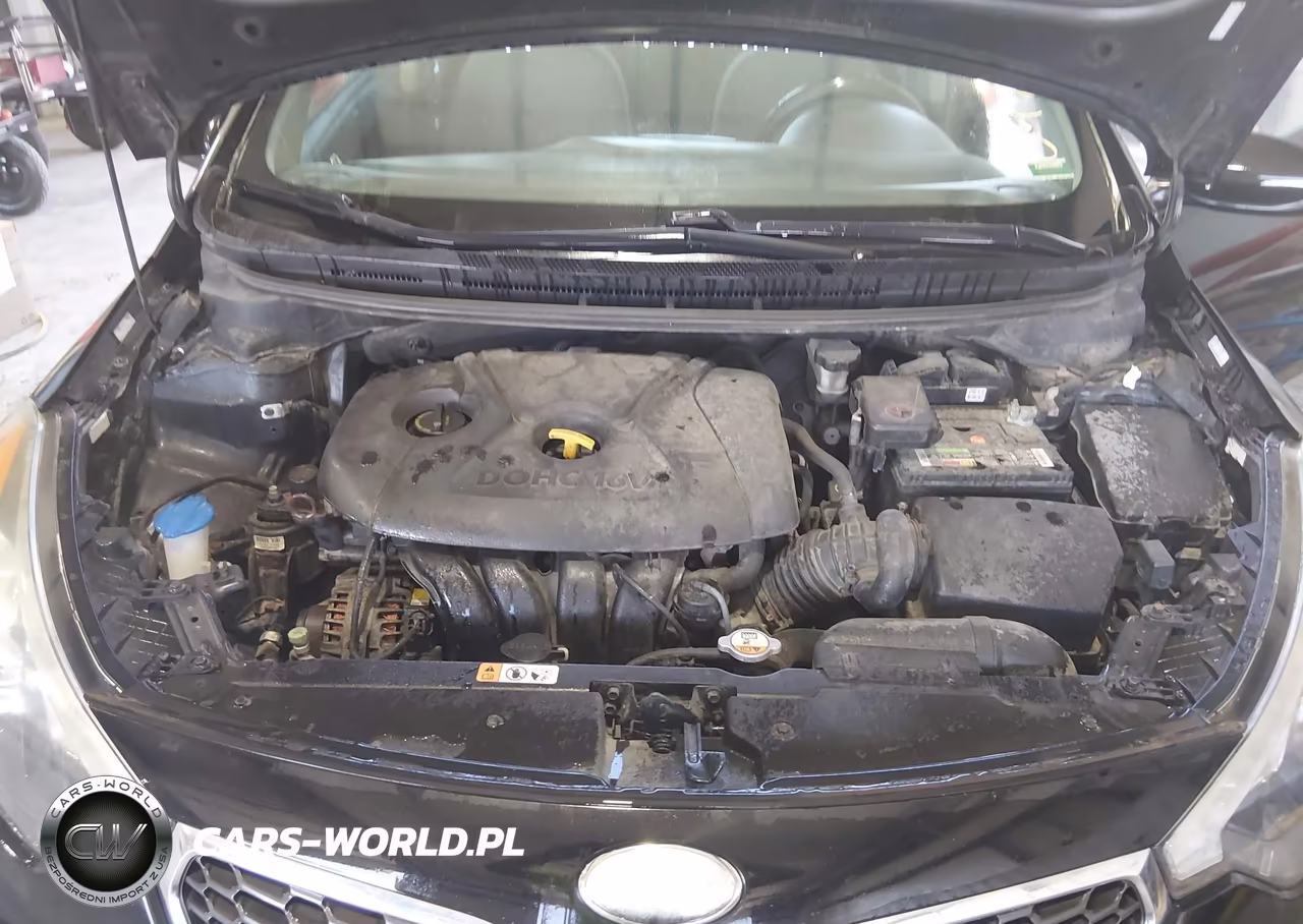 2014 Kia Forte Lx VIN:KNAFX4A67E5047954 - 7