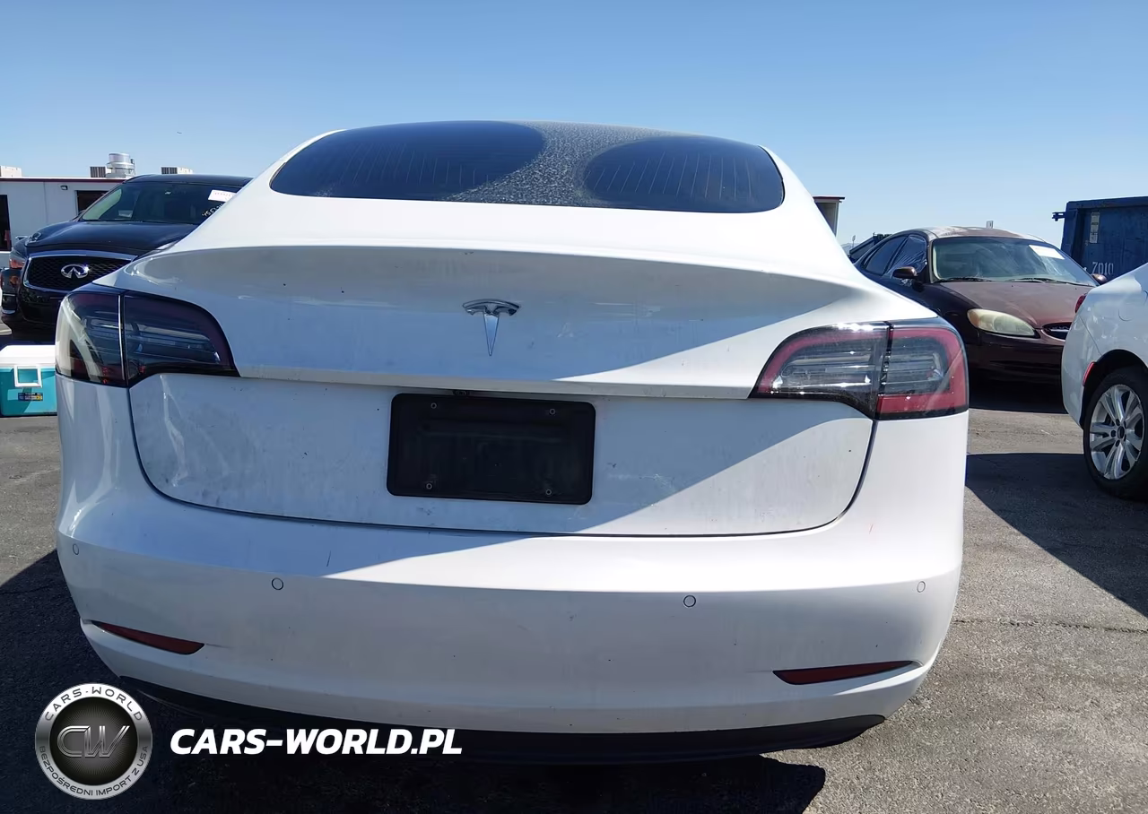 2020 Tesla Model 3 Standard Range Plus Rear-Wheel Drive-Standard Range Rear-Wheel Drive VIN:5YJ3E1EA0LF634775 - 17