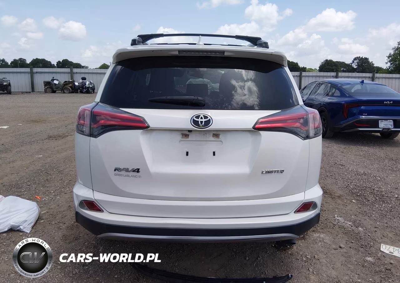 2018 Toyota Rav4 Limited VIN:JTMYFREV0JJ204092 - 17