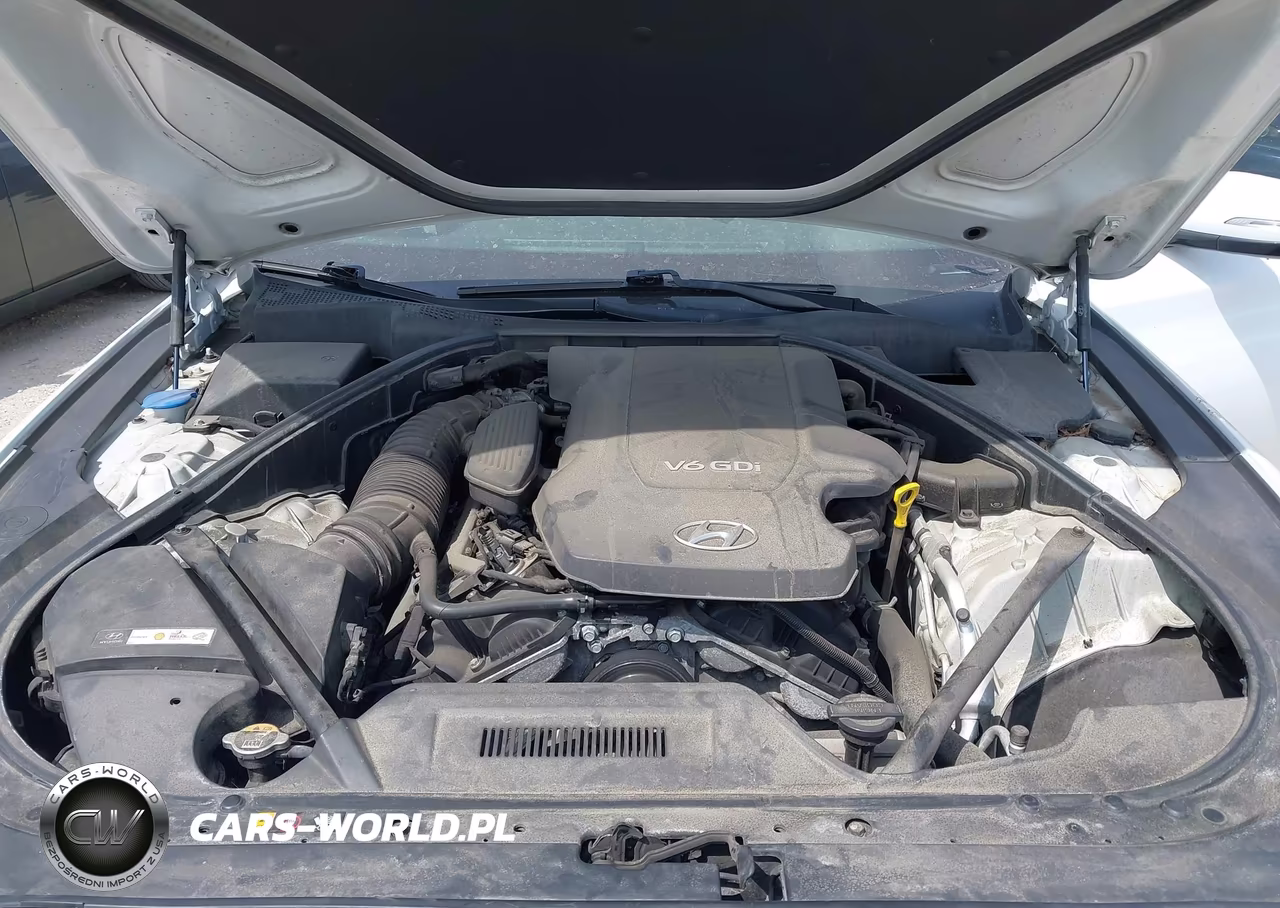 2016 Hyundai Genesis 3.8 VIN:KMHGN4JE7GU133421 - 10