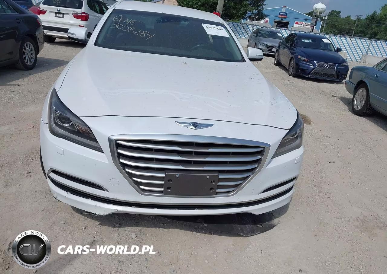 2016 Hyundai Genesis 3.8 VIN:KMHGN4JE7GU133421 - 12