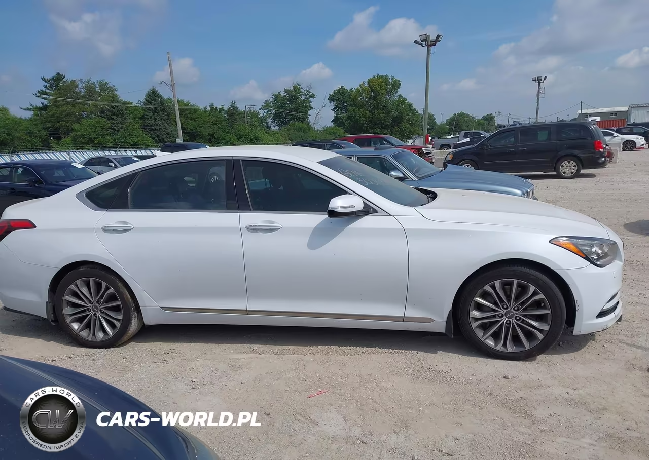 2016 Hyundai Genesis 3.8 VIN:KMHGN4JE7GU133421 - 13