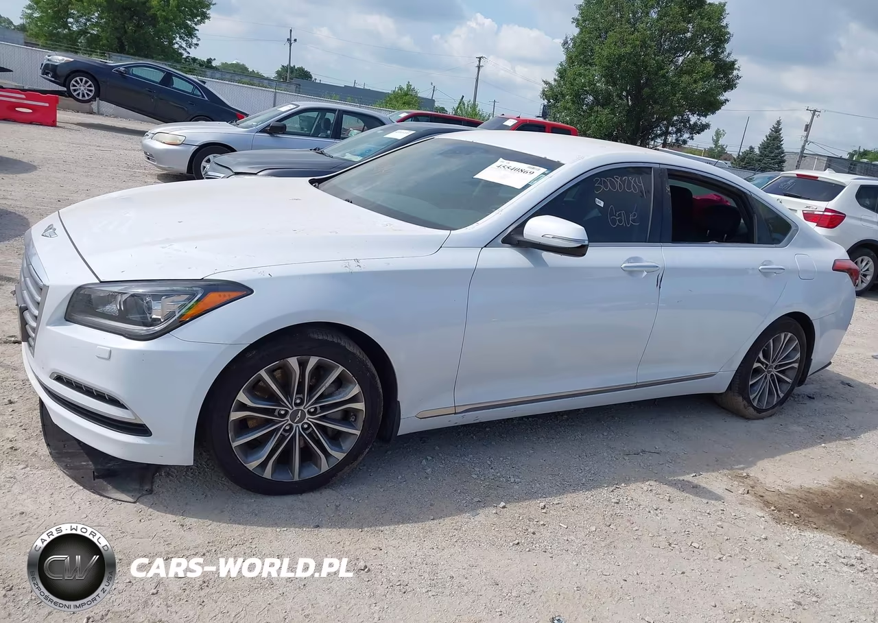 2016 Hyundai Genesis 3.8 VIN:KMHGN4JE7GU133421 - 14
