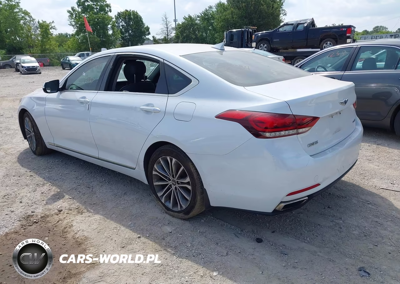 2016 Hyundai Genesis 3.8 VIN:KMHGN4JE7GU133421 - 3