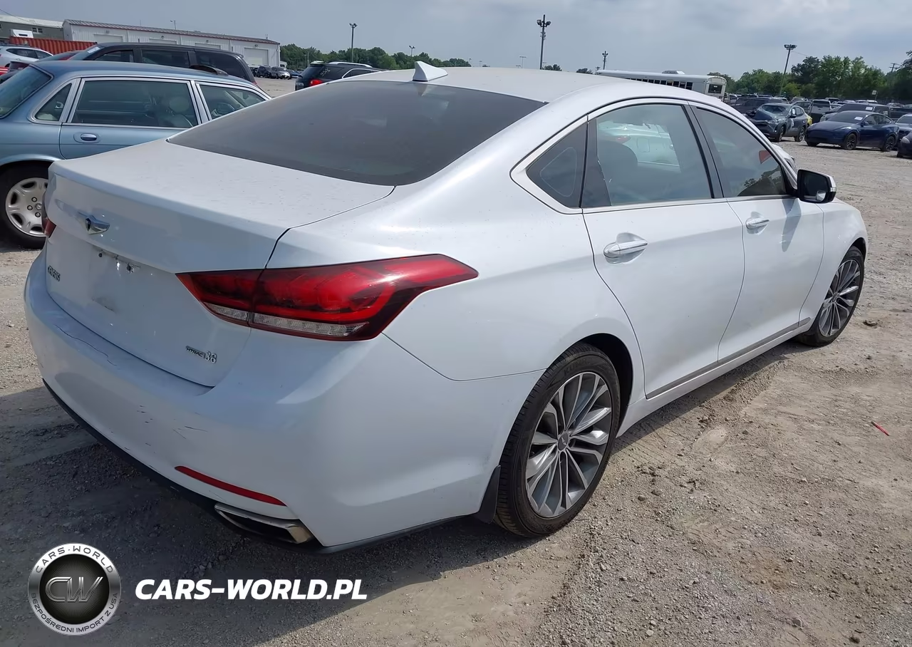 2016 Hyundai Genesis 3.8 VIN:KMHGN4JE7GU133421 - 4