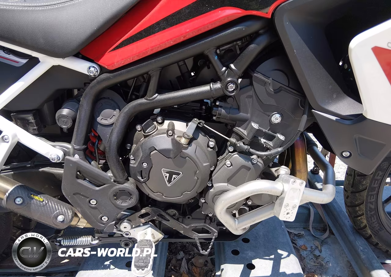 2024 Triumph Motorcycle Tiger 900 Gt Aragon Edition VIN:SMTE64DF5RTBN7033 - 8