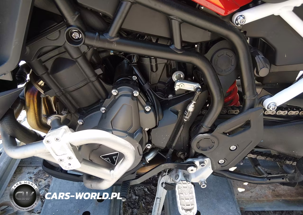2024 Triumph Motorcycle Tiger 900 Gt Aragon Edition VIN:SMTE64DF5RTBN7033 - 9