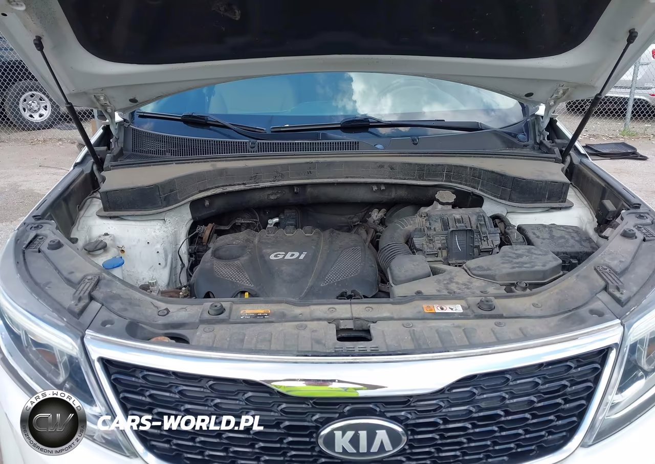 2014 Kia Sorento Lx VIN:5XYKT4A64EG456479 - 10