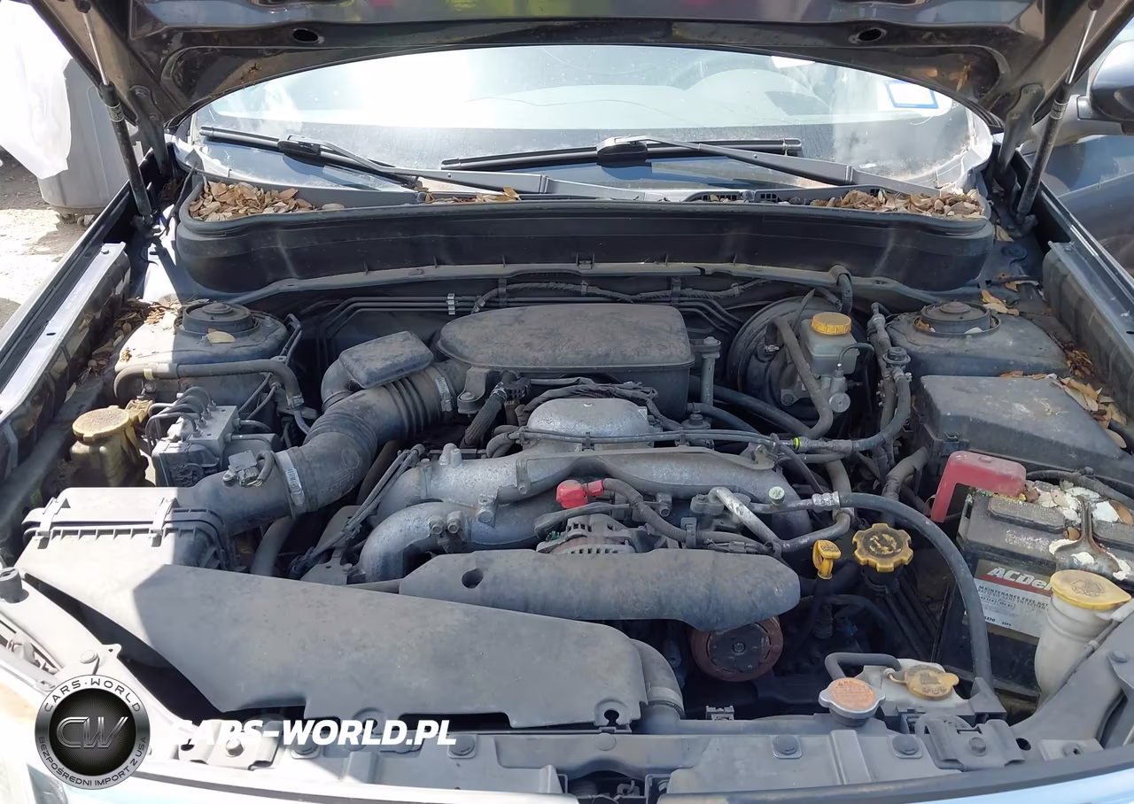 2010 Subaru Forester 2.5X Premium VIN:JF2SH6CC8AH789464 - 10