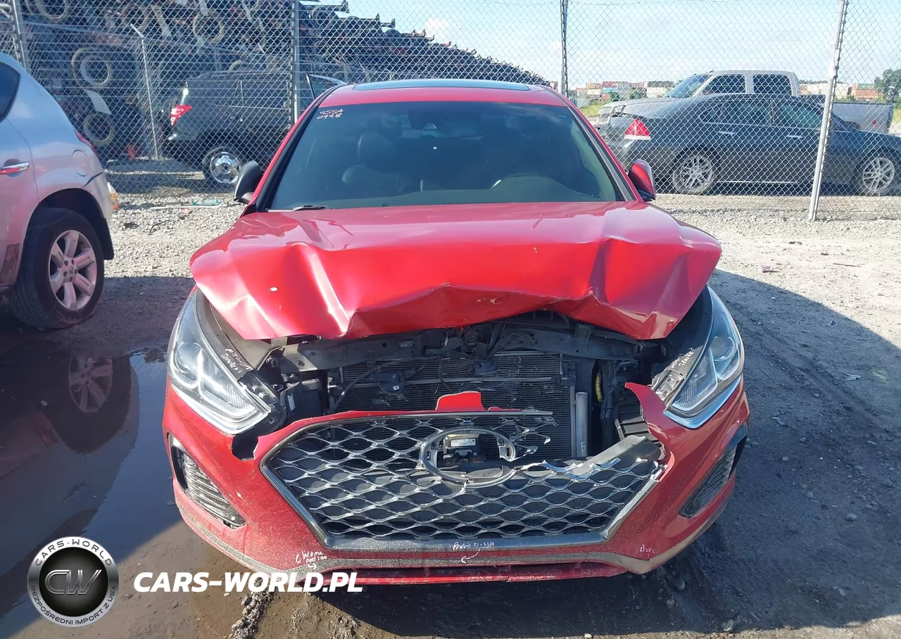 2019 Hyundai Sonata Sport VIN:5NPE34AF5KH808227 - 12