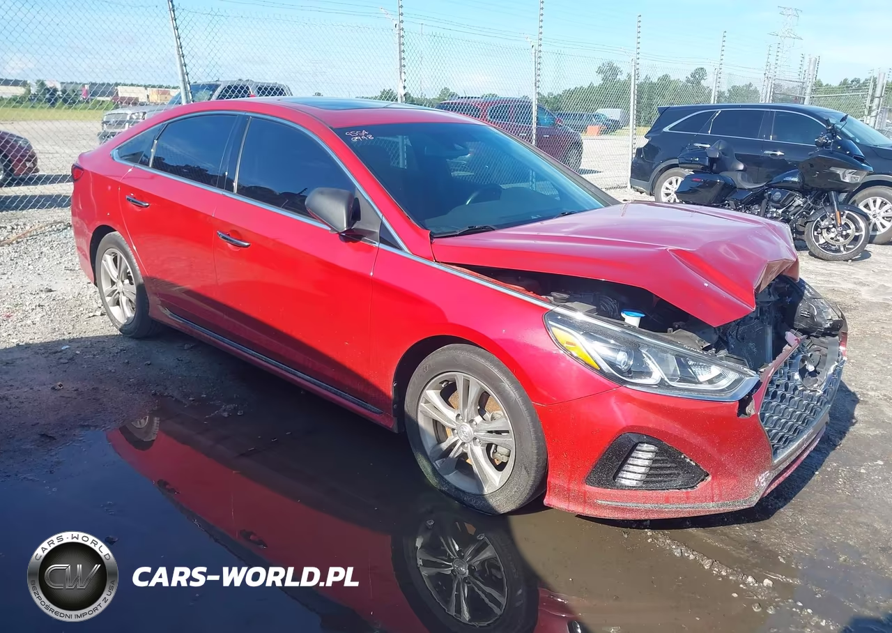 2019 Hyundai Sonata Sport VIN:5NPE34AF5KH808227 - 13
