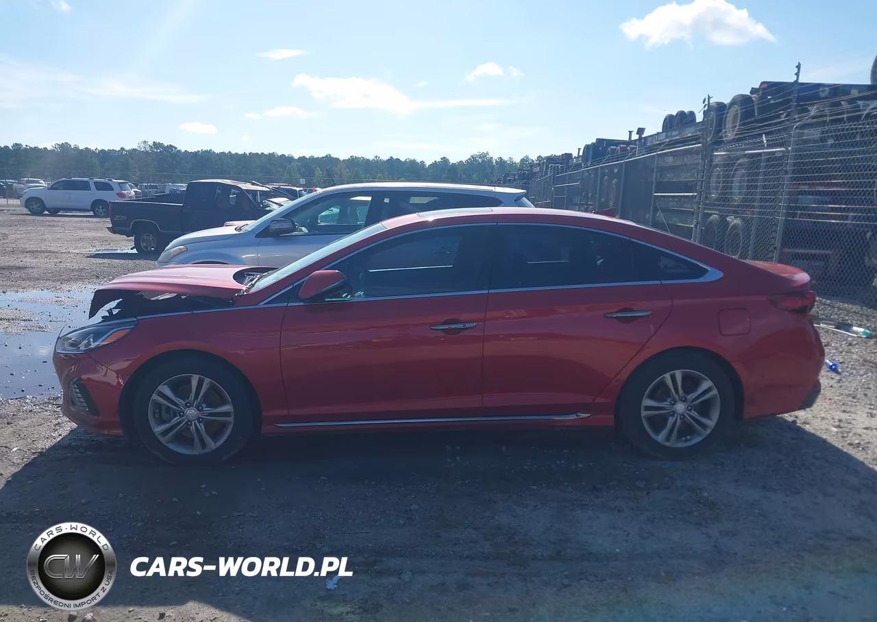 2019 Hyundai Sonata Sport VIN:5NPE34AF5KH808227 - 14