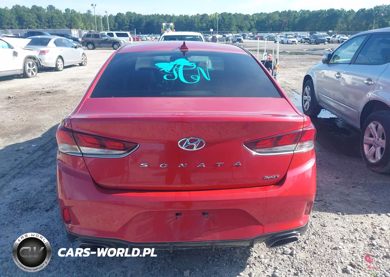 2019 Hyundai Sonata Sport VIN:5NPE34AF5KH808227 - 16