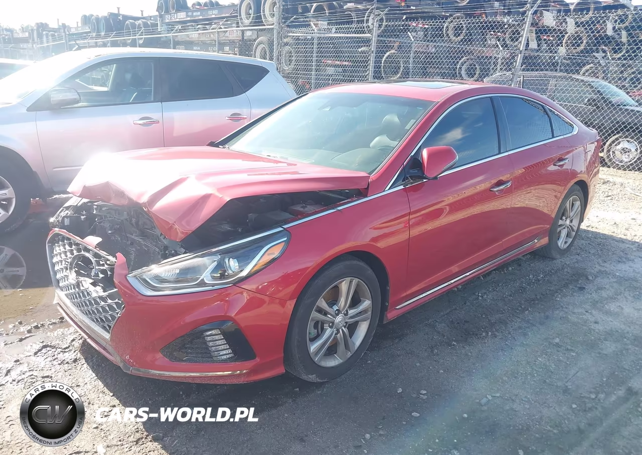 2019 Hyundai Sonata Sport VIN:5NPE34AF5KH808227 - 2