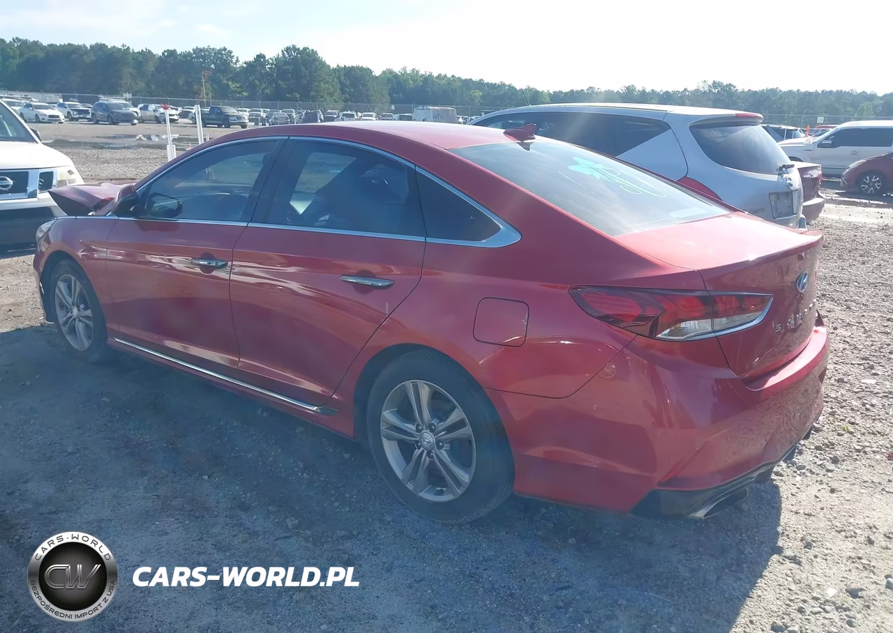 2019 Hyundai Sonata Sport VIN:5NPE34AF5KH808227 - 3