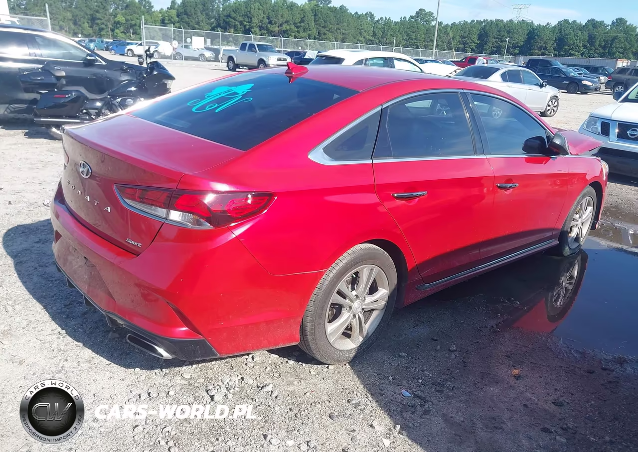 2019 Hyundai Sonata Sport VIN:5NPE34AF5KH808227 - 4