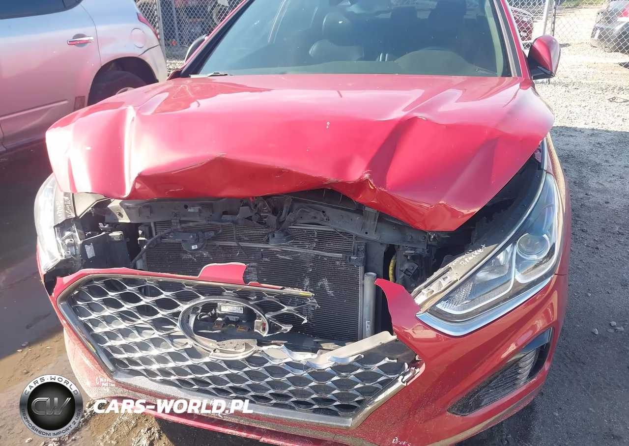 2019 Hyundai Sonata Sport VIN:5NPE34AF5KH808227 - 6