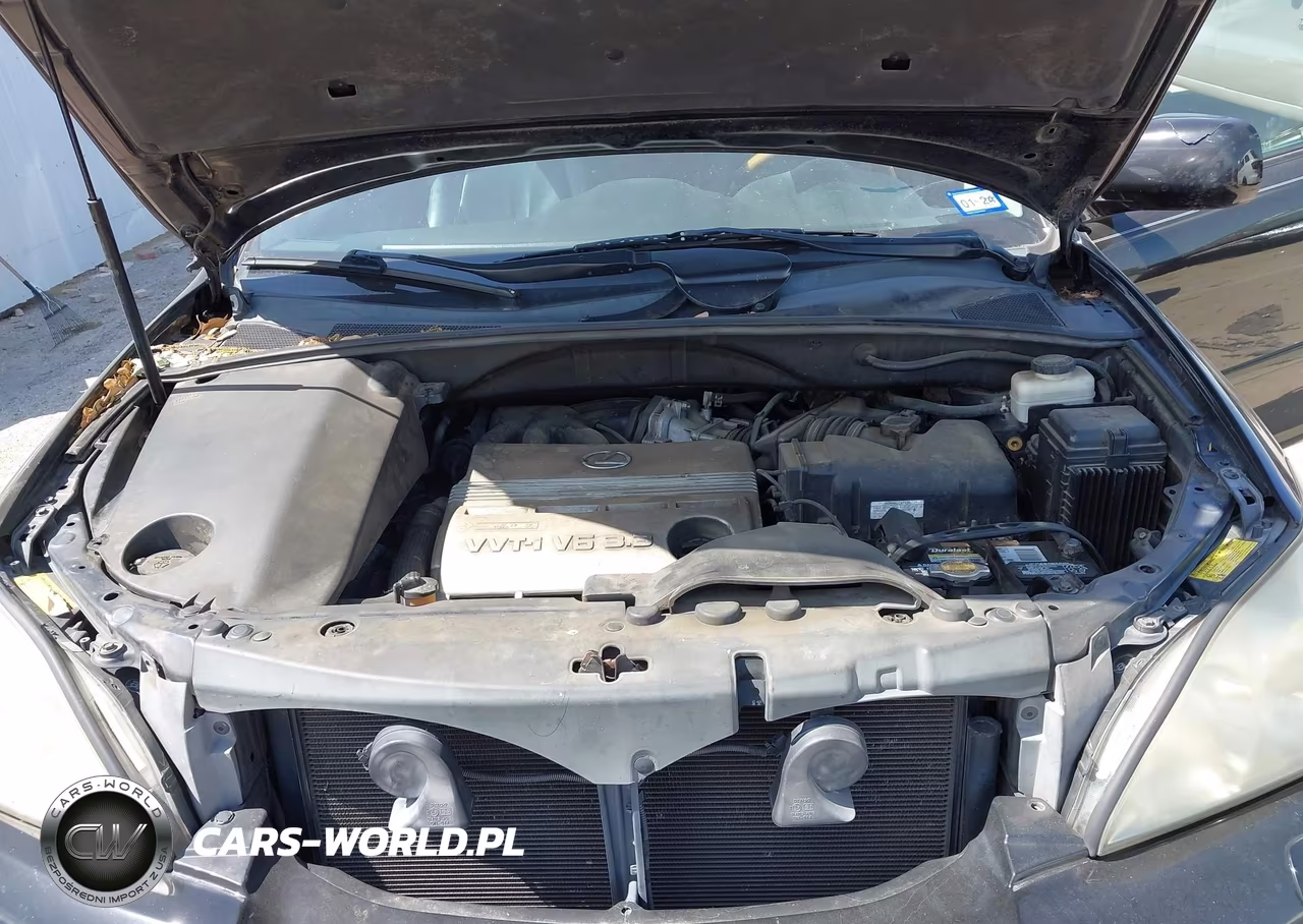 2006 Lexus Rx 330 VIN:2T2GA31U66C044433 - 10
