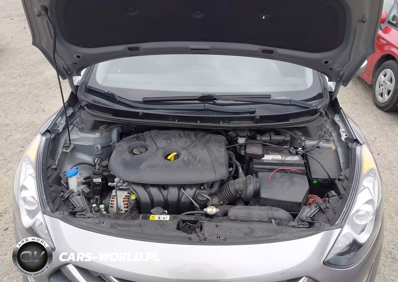 2013 Hyundai Elantra Gt VIN:KMHD35LE3DU133066 - 10