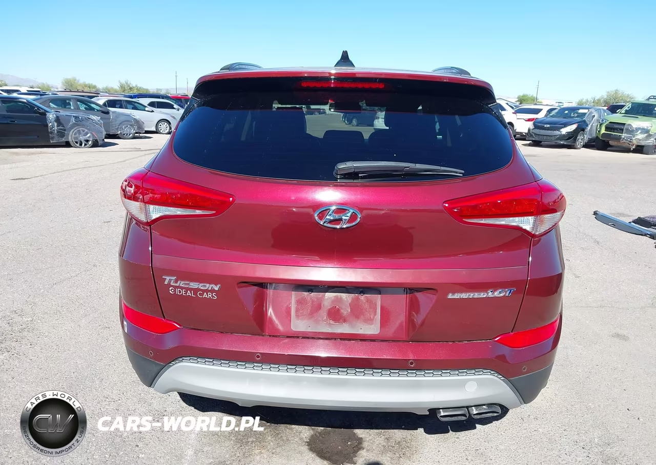 2017 Hyundai Tucson Limited VIN:KM8J33A21HU329285 - 17