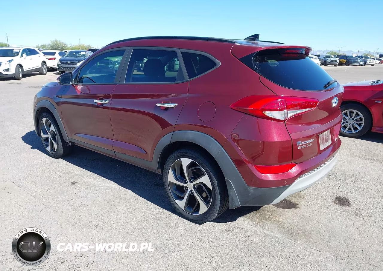 2017 Hyundai Tucson Limited VIN:KM8J33A21HU329285 - 3